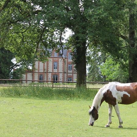 Allogny Chateau De Beauchene Chambres D'Hotes מראה חיצוני תמונה